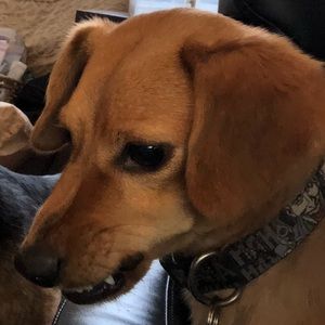 Meet your Posher, Teresa